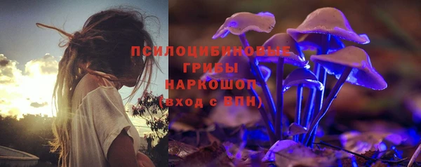 прущая мука Горняк