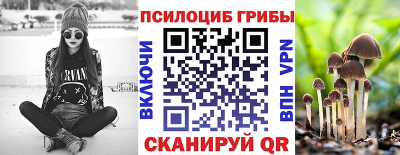 OMG рабочий сайт  Зеленогорск  Галлюциногенные грибы Magic Shrooms 