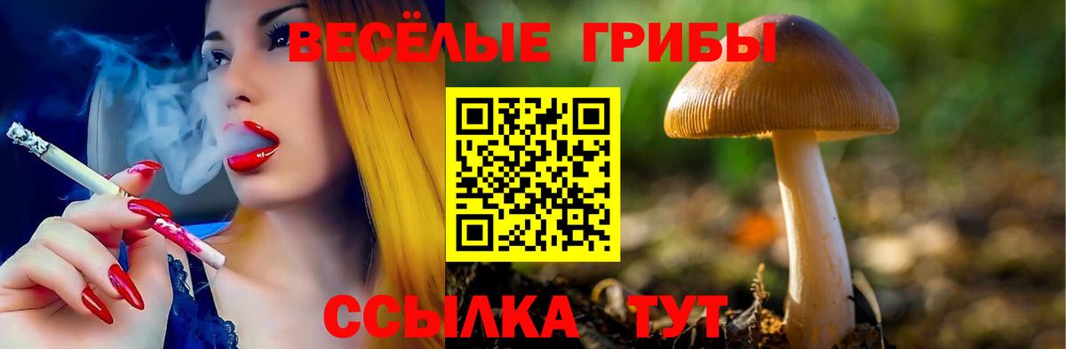 Галлюциногенные грибы Magic Shrooms Зеленогорск