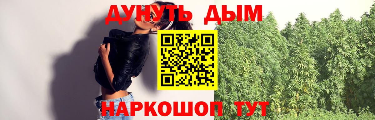 Марихуана план  Бошки Шишки Amnesia  Зеленогорск  Вход с VPN 